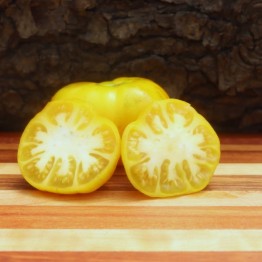 Aegcha Tomato