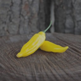 Aji Pineapple