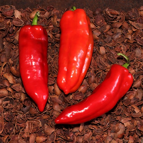 Alexandru Sweet Pepper