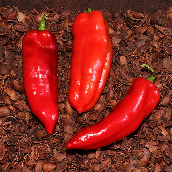 Alexandru Sweet Pepper