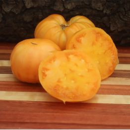 Amana Orange Tomato