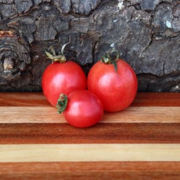 Amish Salad Tomato