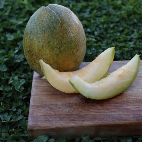 Ananas 
