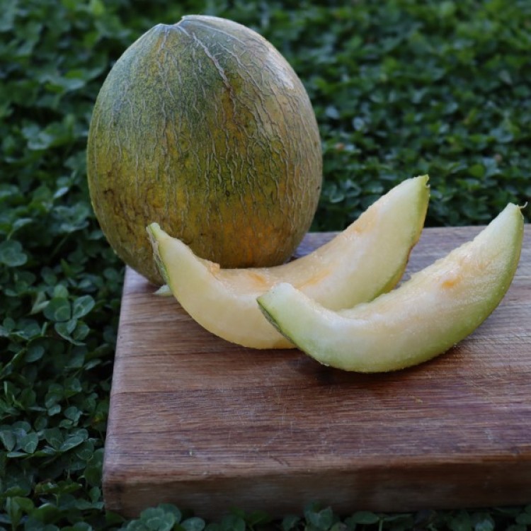 Ananas 
