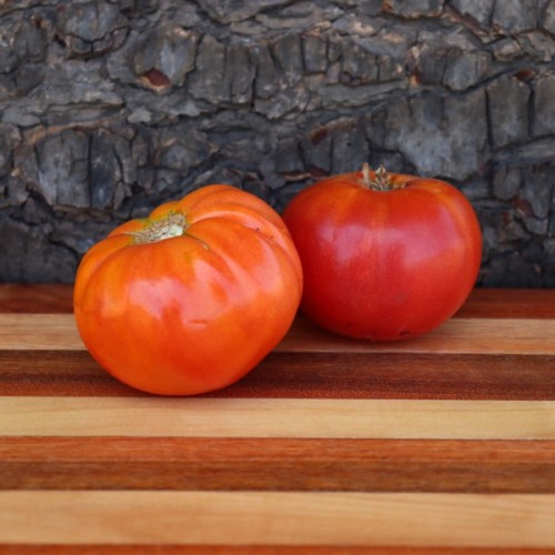 Arctic Rose Dwarf Tomato