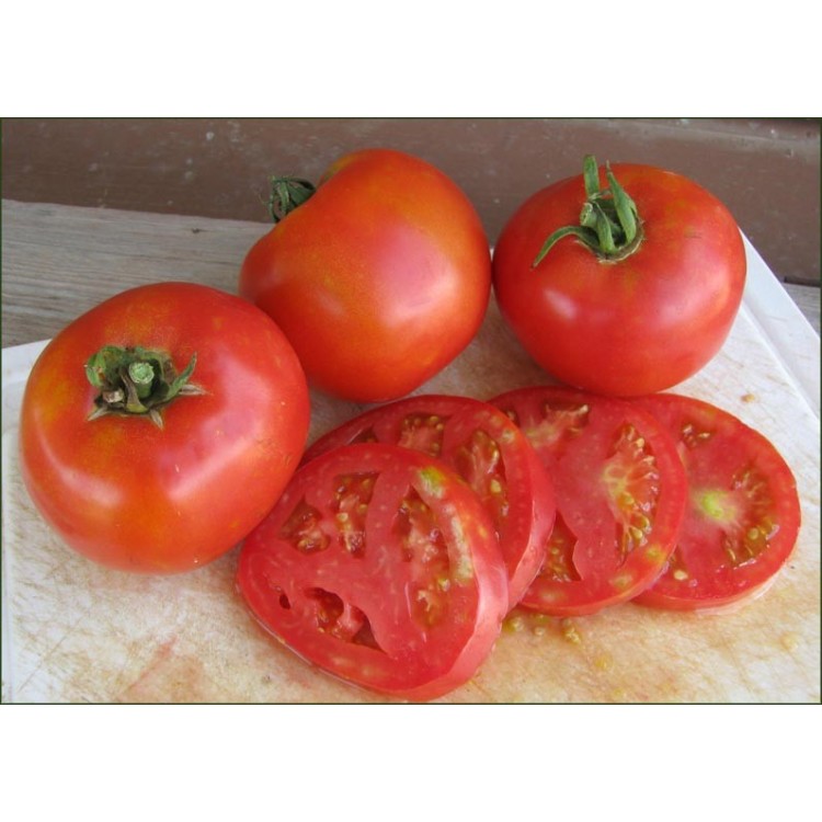 Arkansas Traveler Tomato