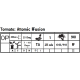 Atomic Fusion 