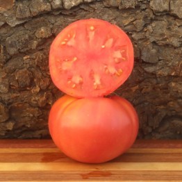 Brandywine Purple Tomato