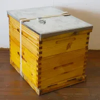 Complete Beehive Complete Beehive