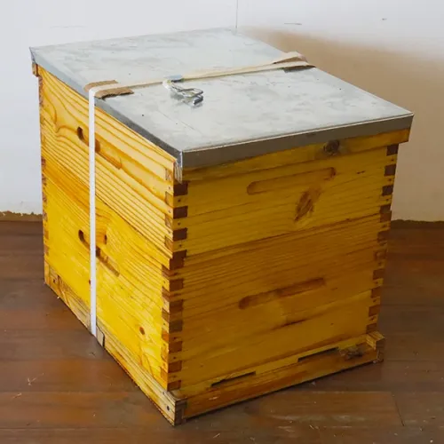 Complete Beehive Complete Beehive