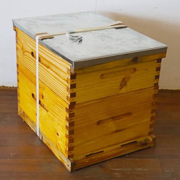 Complete Beehive Complete Beehive