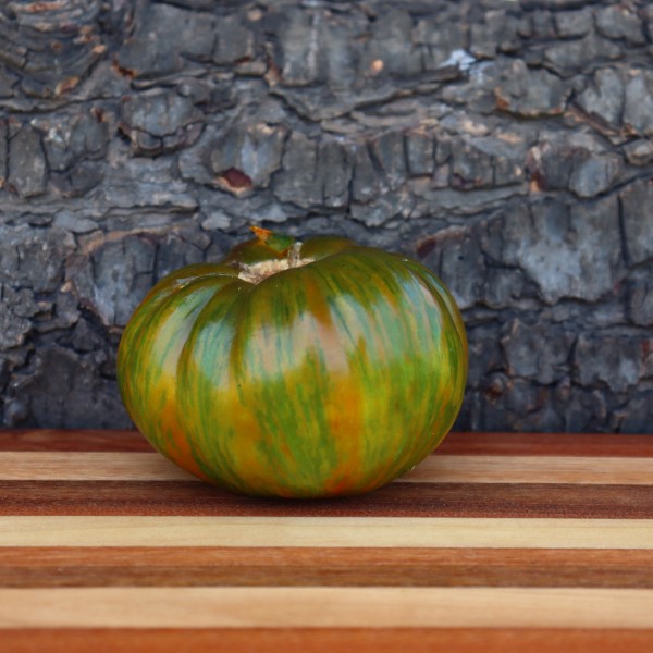 Berkeley Tie Dye Green 