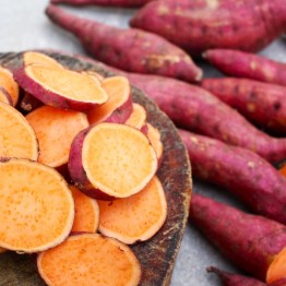 Beauregard Sweet Potato Runners