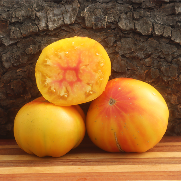 Big Rainbow Tomato