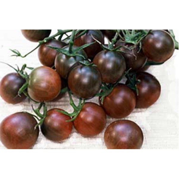 Black Tomatoes Black Tomatoes
