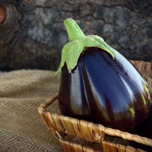 Black Beauty Eggplant