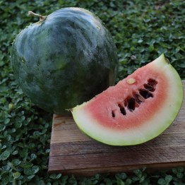 Black Diamond Watermelon