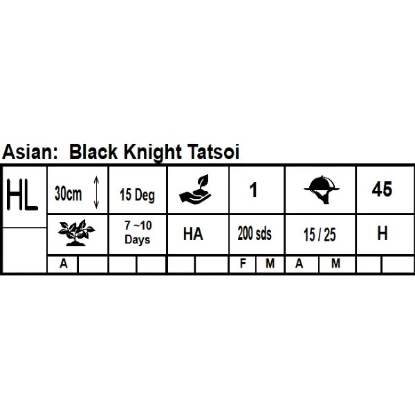 Black Knight Tatsoi