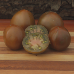 Black Prince Tomato