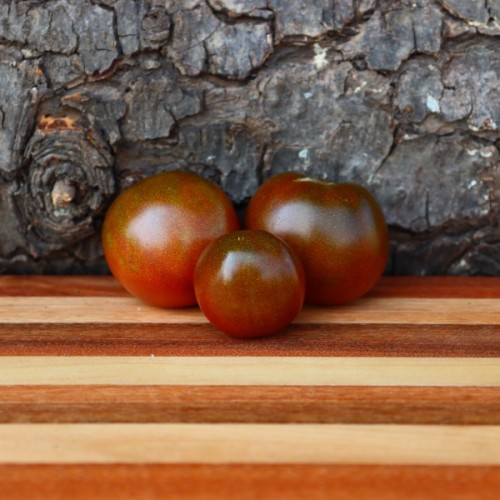 Black Sea Man Tomato