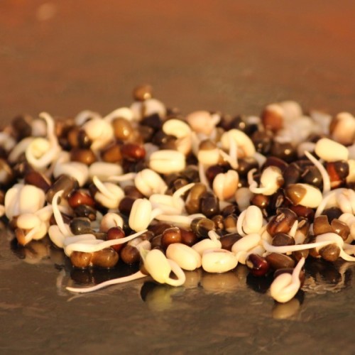 Black Urad Dal 