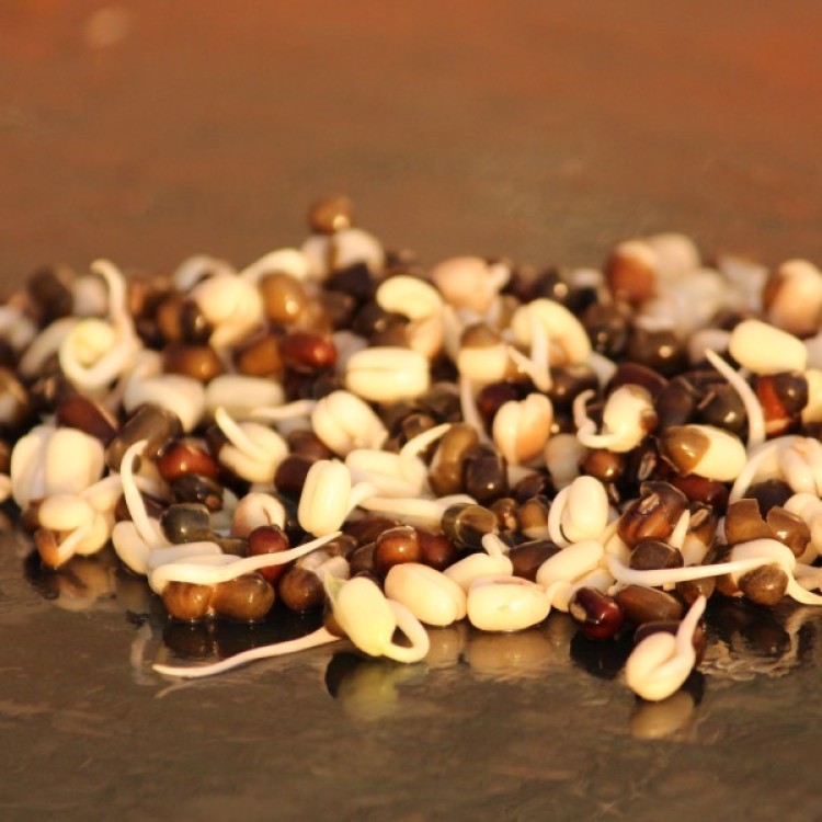 Black Urad Dal 