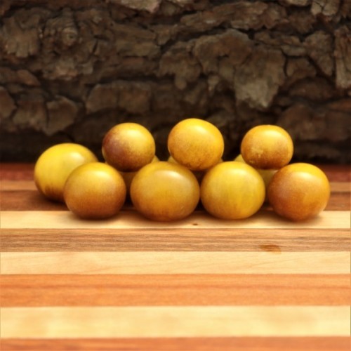 Blue Gold Berries 