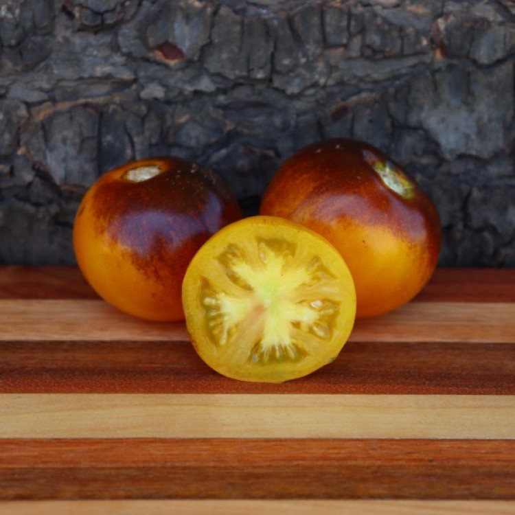 Blue Gold Tomato