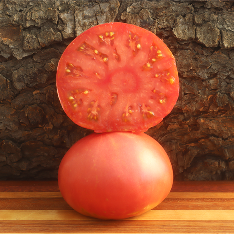 Blue Ridge Mountain Tomato