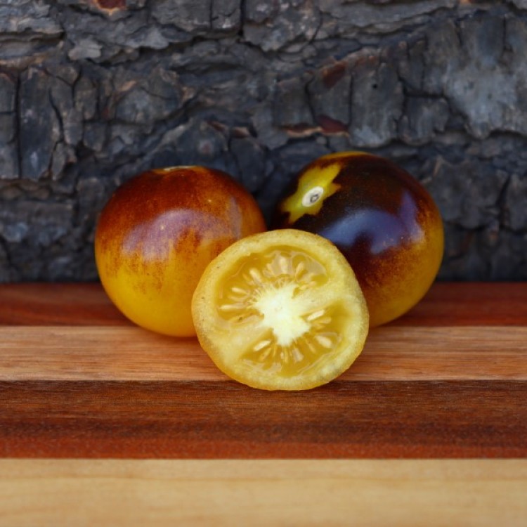 Bosque Blue Bumblebee Tomato