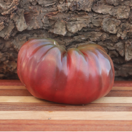 Brandywine Black (Potato-Leaf)