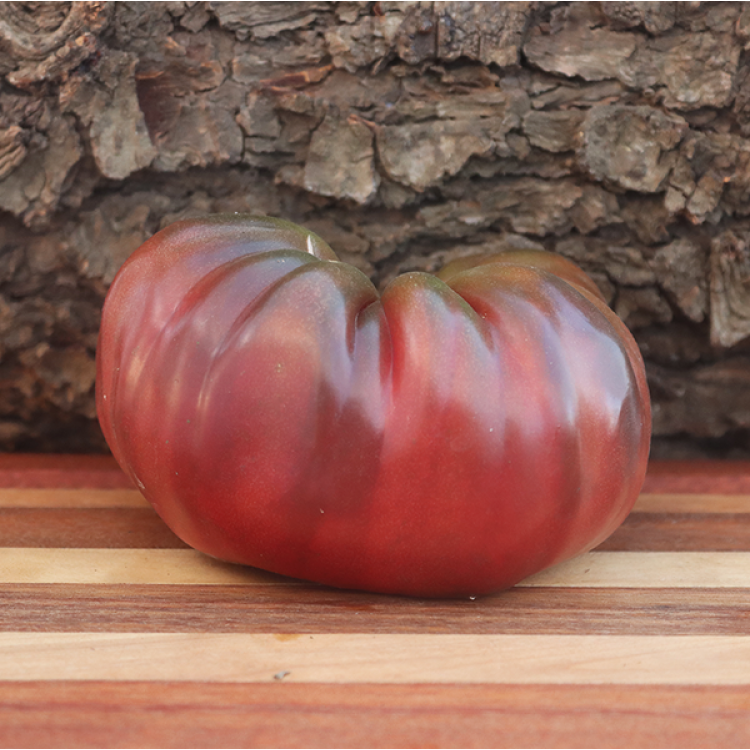 Brandywine Black Tomato (Potato-Leaf)