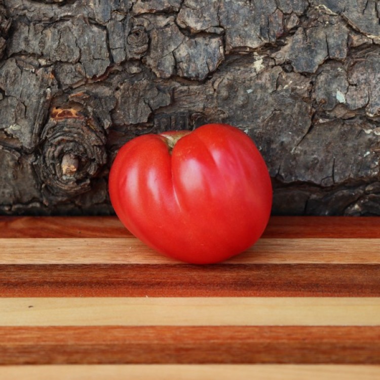 Brandywine Pink Tomato