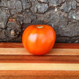 Brandywine Red Tomato