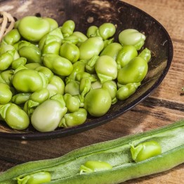 Robin Hood Broad Beans