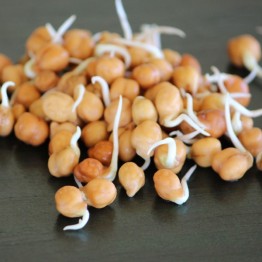 Brown Chickpeas