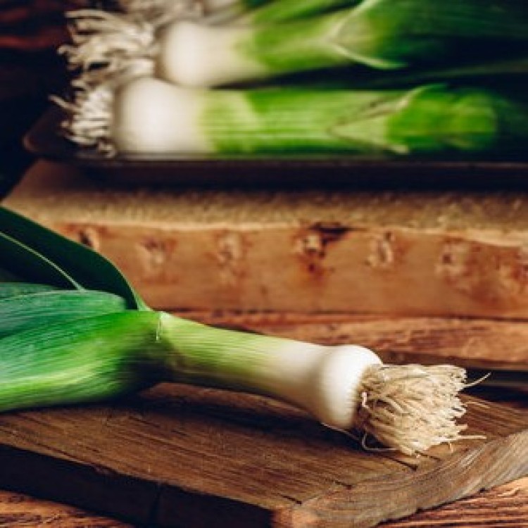 Bulgarian Giant Leek