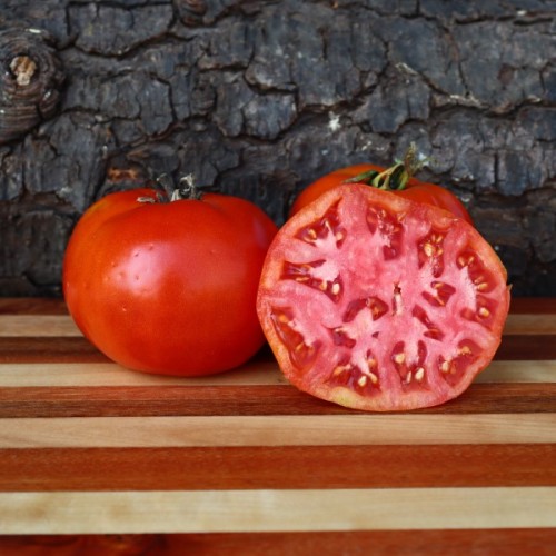 Bush Beefsteak 