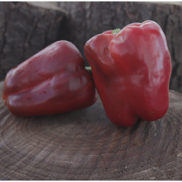 California Wonder Sweet Pepper