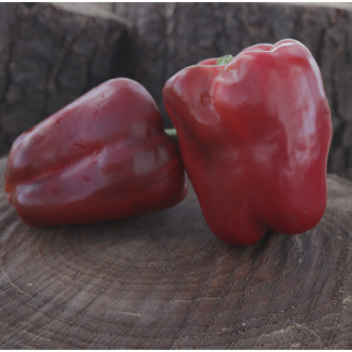 California Wonder Sweet Pepper