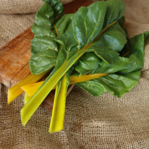 Canary Yellow Swiss Chard