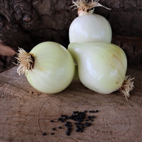 Caprico Onion