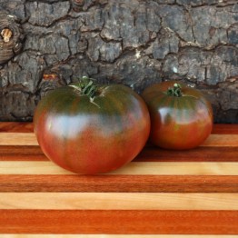 Carbon Tomato