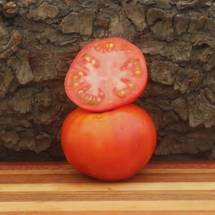 Caro Rich Tomato