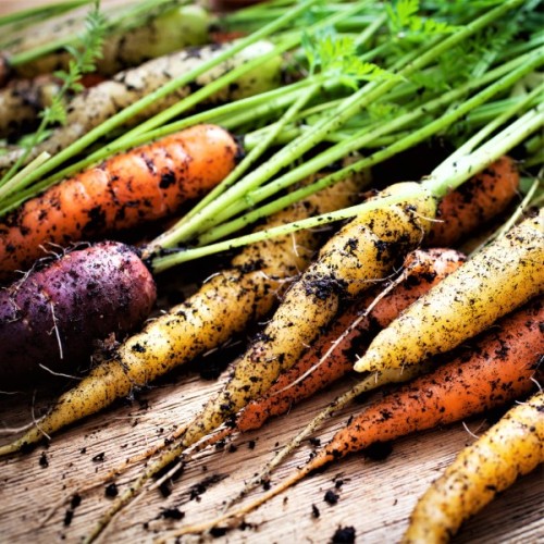 Rainbow Carrot Blend