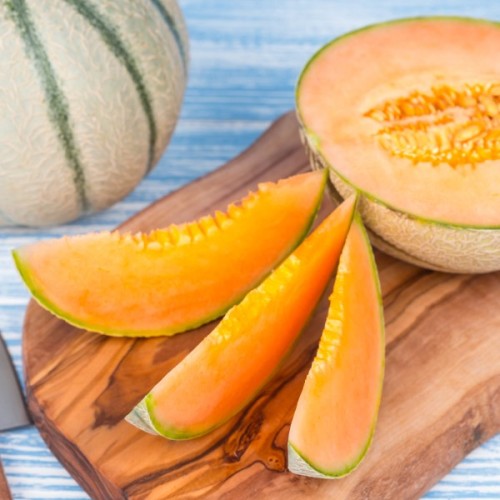 Charentais Melon