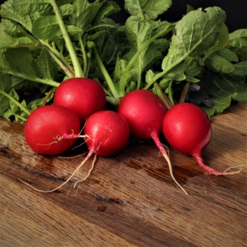 Cherry Belle Radish