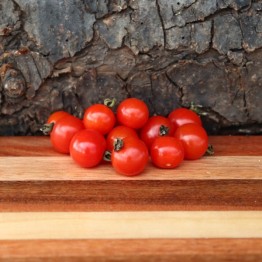 Cherry Chiapas Tomato