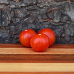 Cherry Ember Tomato