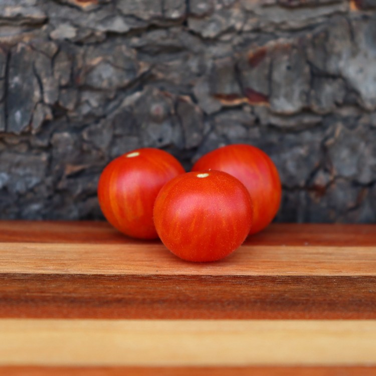 Cherry Ember Tomato